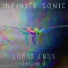 Infinite Sonic - Loose Ends, Vol. 2